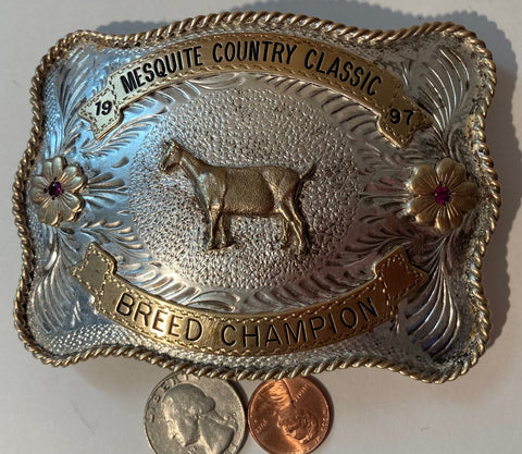 Vintage 1997 Metal Belt Buckle, Silver and Brass, Mesquite Country Classic,