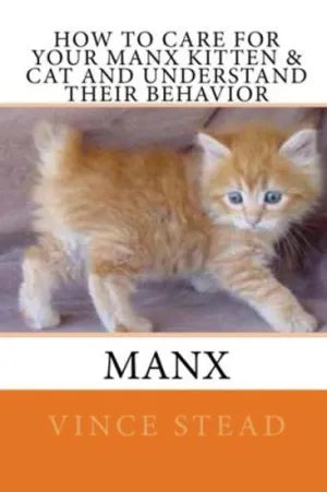 How to Care For Your Manx Kitten & Cat And Understand Their Behavior