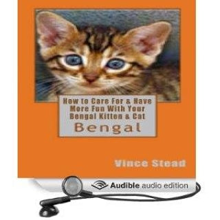 How to Care For & Have More Fun With Your Bengal Kitten & Cat