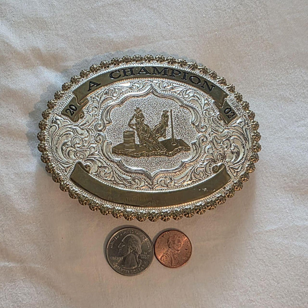 Vintage 2002 Metal Belt Buckle, Brass and Silver, A Champion, Horse, Barrel Racing, Paint, Nice Western Design