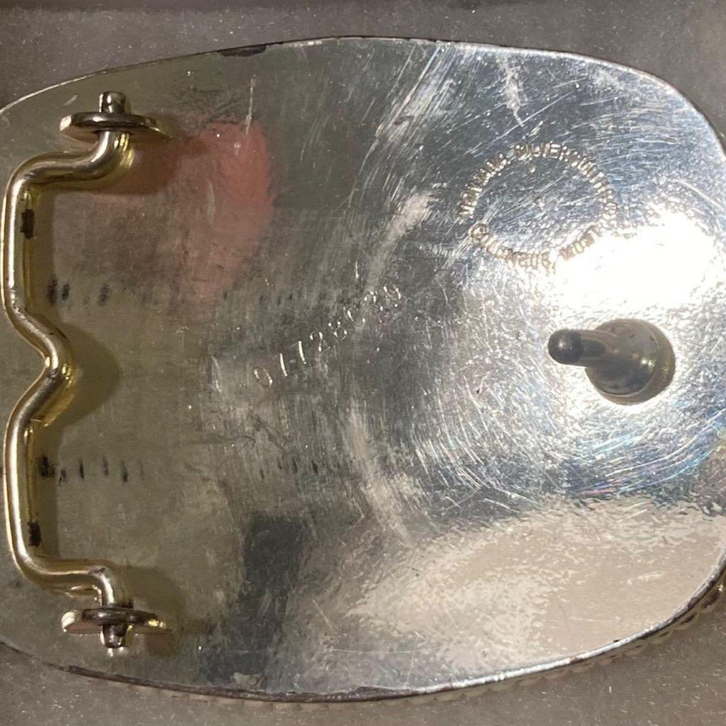 Vintage 2005 Metal Belt Buckle, IJRA Jr. Queen, 1st Attendant, Silver and Brass, Horse, Montana Silversmiths, Purple Stones, Nice Western Design
