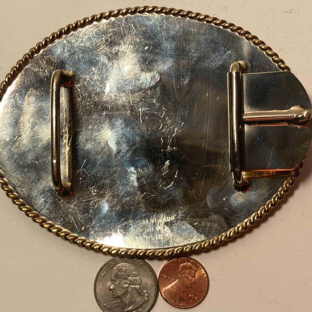 Vintage 1998 Metal Belt Buckle, California Paint Horse Champion, Western Riding 18 & Under, Big Size, Trophy, Nice Blue Stones, Nice Design