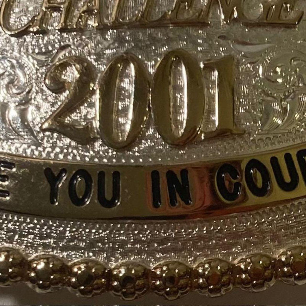 Vintage 2001 Metal Belt Buckle, MBNA America Racing Challenge, See You in Court, Silver and Brass, Horse Racing, Montana Silversmiths