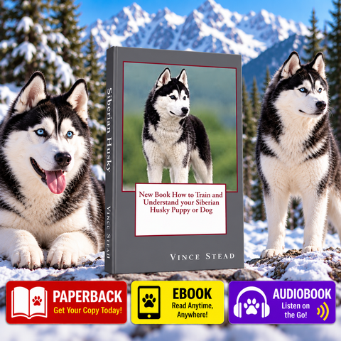 🐺😂 **SIBERIAN HUSKIES: BEAUTIFUL DOGS, BLUE EYES, AND ABSOLUTELY NO RESPECT FOR YOUR