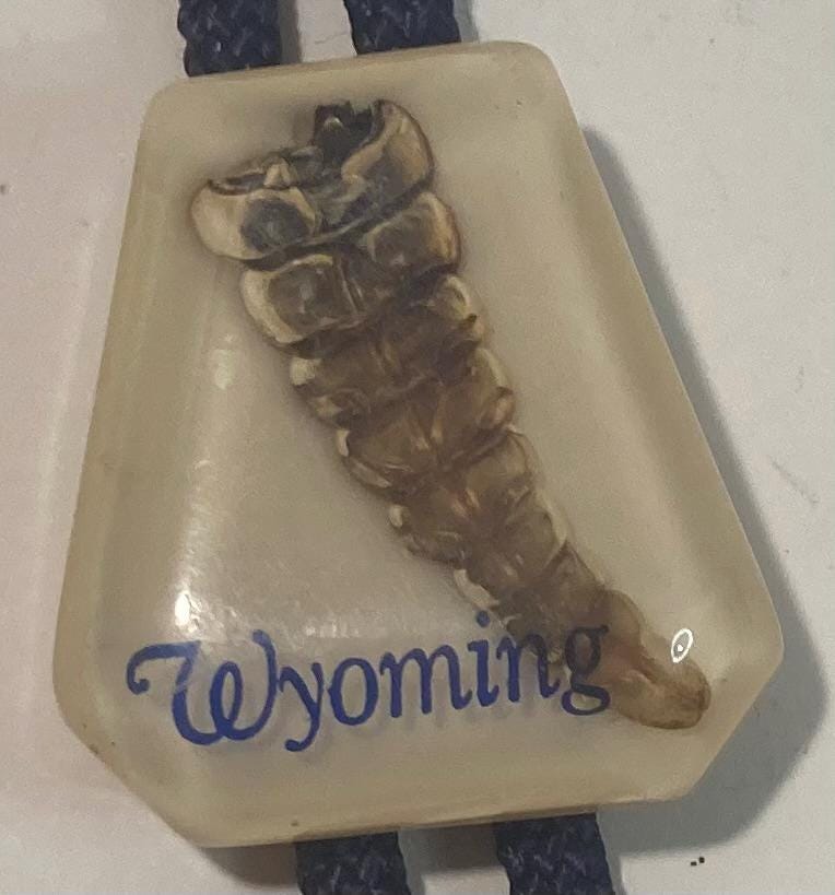 Vintage Metal Bolo Tie, Nice Rattlesnake Tail Under Acrylic Resin, Wyoming, Nature, Wildlife, Nice Western Design, 1 3/4" x 1 1/2", Quality