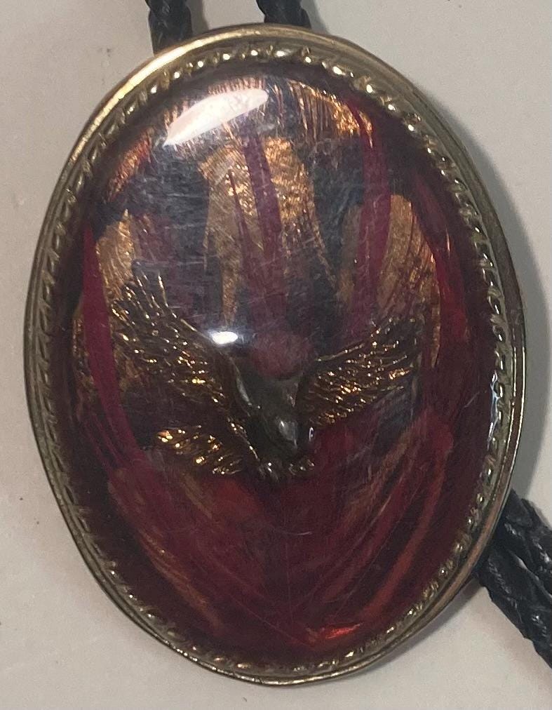 Vintage Metal Bolo Tie, Nice American Bald Eagle Under Thick Epoxy Resin Design, Nature, Wildlife, Nice Western Design