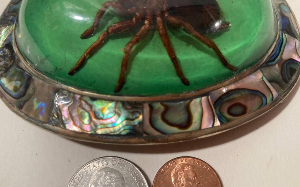 Vintage Metal Belt Buckle, Bigger Size, Silver and Abalone, Nice Resin Encased Tarantula Spider, Nice Western Design