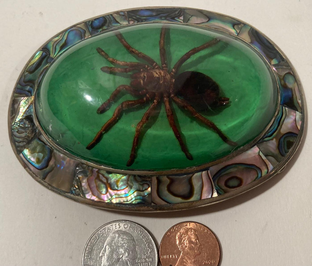 Vintage Metal Belt Buckle, Bigger Size, Silver and Abalone, Nice Resin Encased Tarantula Spider, Nice Western Design