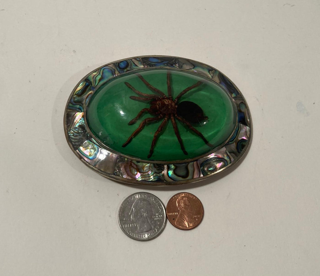 Vintage Metal Belt Buckle, Bigger Size, Silver and Abalone, Nice Resin Encased Tarantula Spider, Nice Western Design