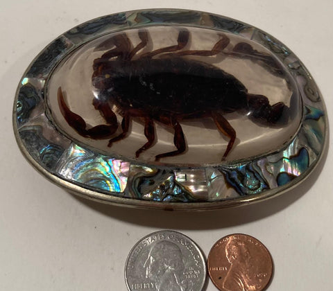 Vintage Metal Belt Buckle, Bigger Size, Silver and Abalone, Nice Resin Encased Scorpion, Nice Western Design, 4&quot; x 3&quot;, Heavy Duty, Quality