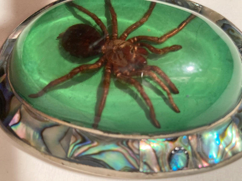 Vintage Metal Belt Buckle, Bigger Size, Silver and Abalone, Nice Resin Encased Tarantula Spider, Nice Western Design