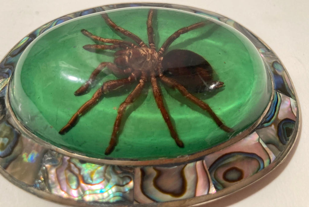 Vintage Metal Belt Buckle, Bigger Size, Silver and Abalone, Nice Resin Encased Tarantula Spider, Nice Western Design