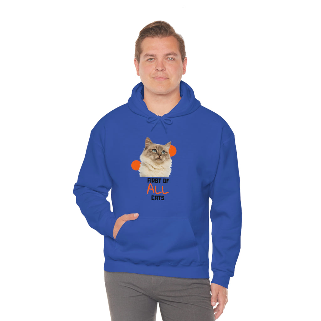 First of All Cat POD Unisex Heavy Blend Hooded Sweatshirt