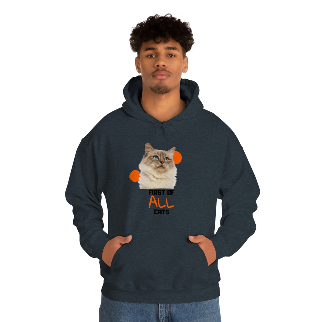 First of All Cat POD Unisex Heavy Blend Hooded Sweatshirt