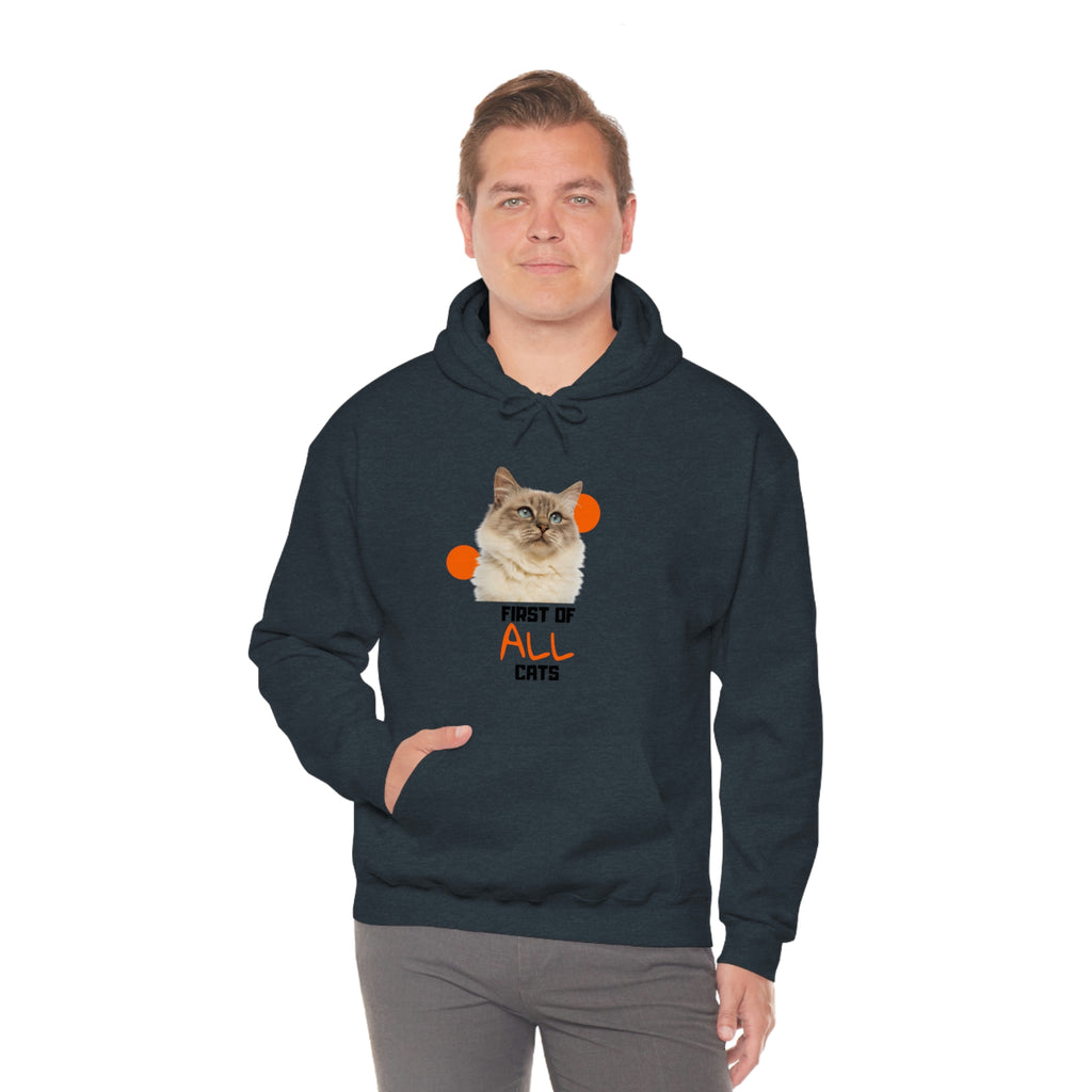 First of All Cat POD Unisex Heavy Blend Hooded Sweatshirt