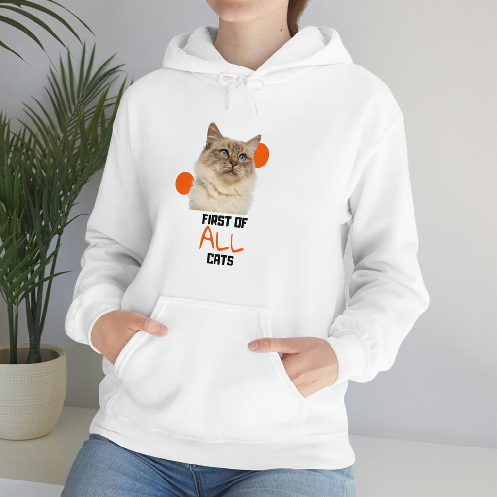 First of All Cat POD Unisex Heavy Blend Hooded Sweatshirt