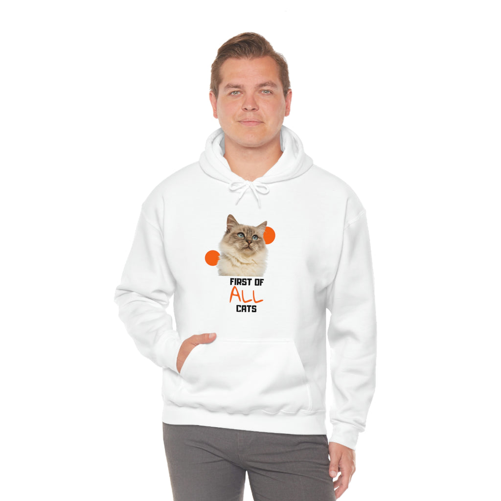 First of All Cat POD Unisex Heavy Blend Hooded Sweatshirt