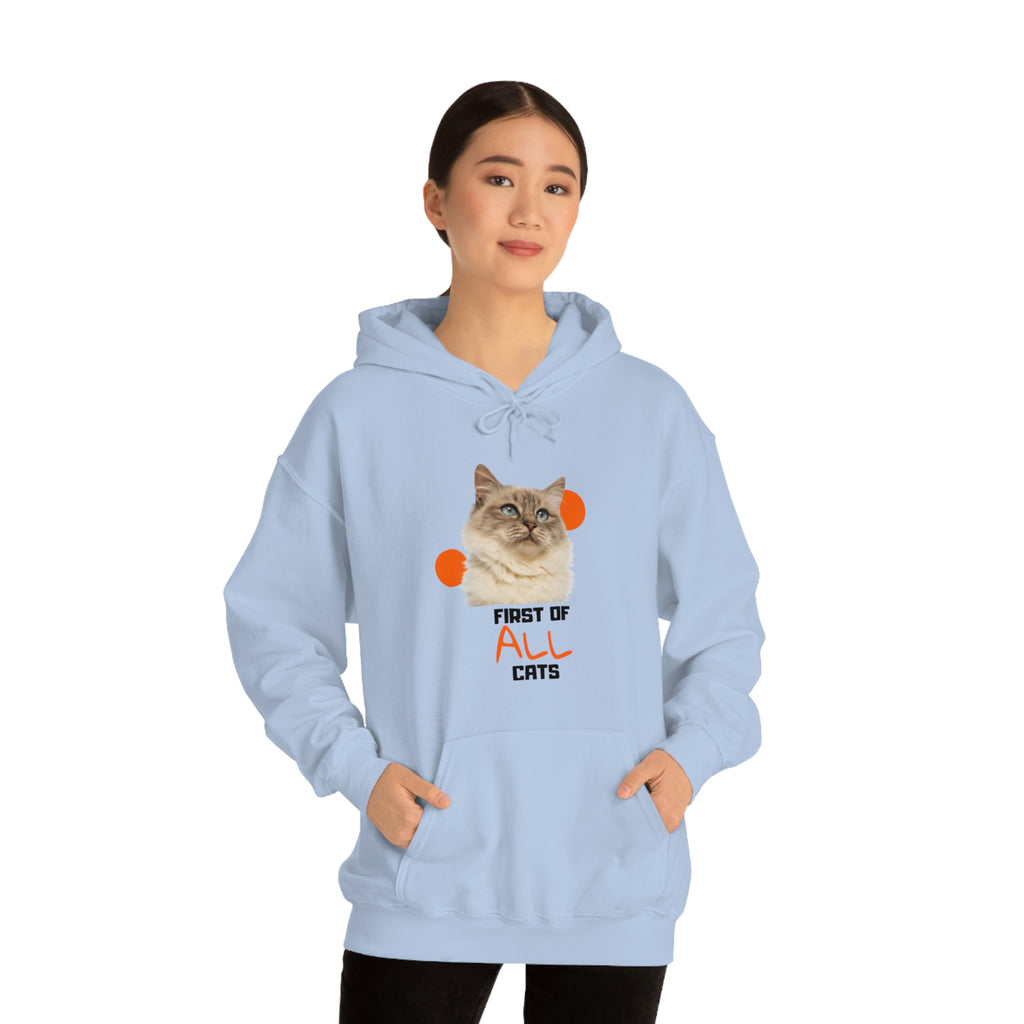 First of All Cat POD Unisex Heavy Blend Hooded Sweatshirt