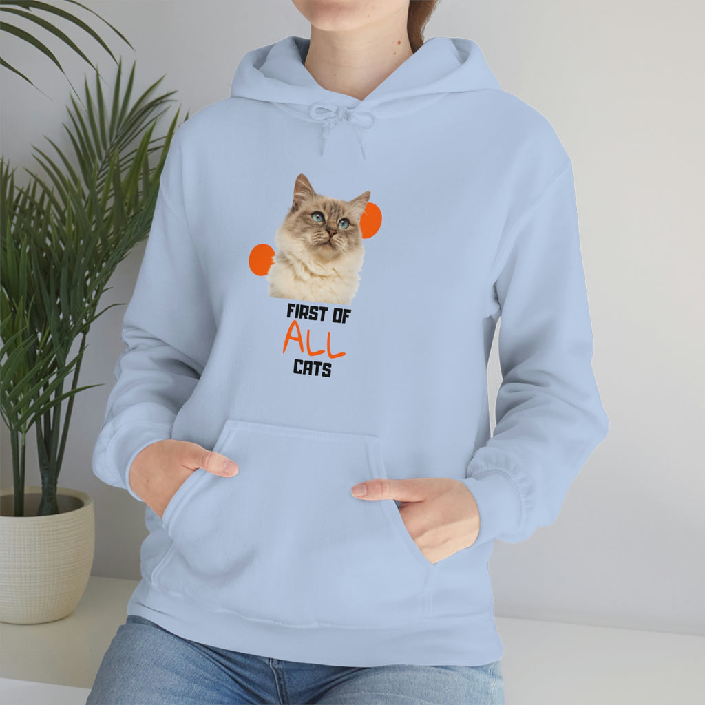 First of All Cat POD Unisex Heavy Blend Hooded Sweatshirt