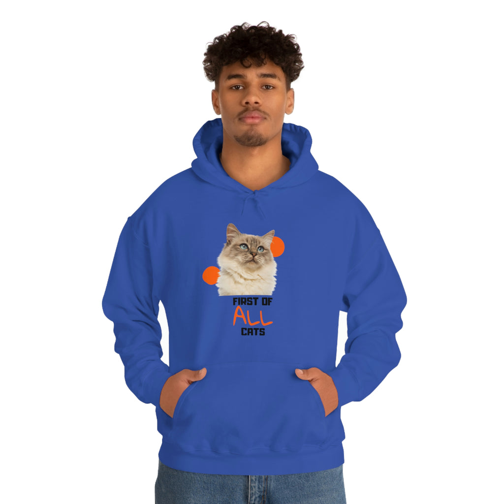 First of All Cat POD Unisex Heavy Blend Hooded Sweatshirt