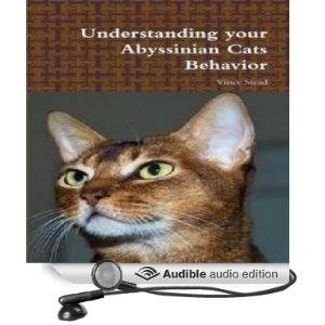 Understanding Your Abyssinian Cats Behavior