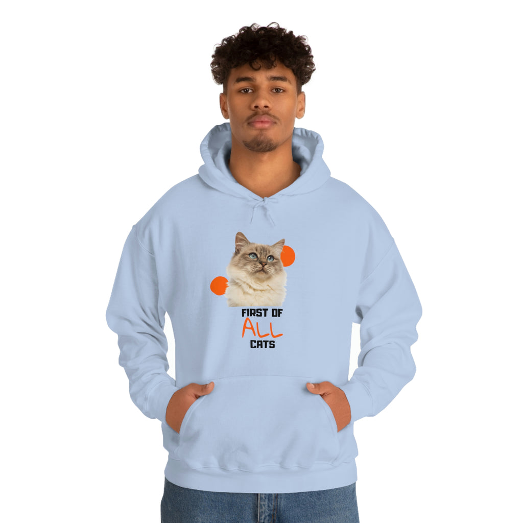 First of All Cat POD Unisex Heavy Blend Hooded Sweatshirt