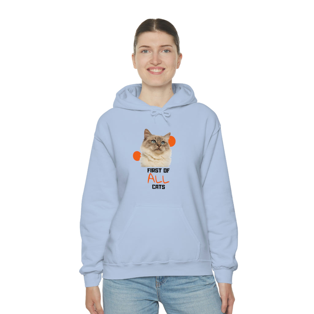 First of All Cat POD Unisex Heavy Blend Hooded Sweatshirt