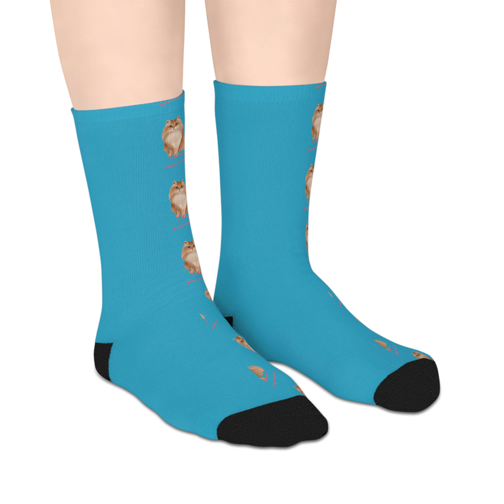 I love Persians Cat POD Mid-length Socks
