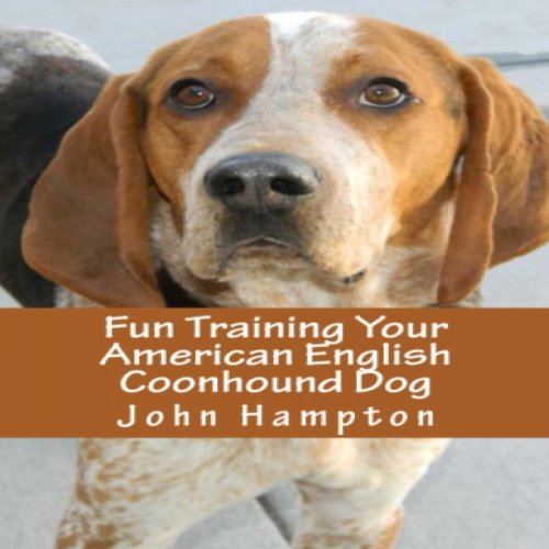Fun Training Your American English Coonhound Dog