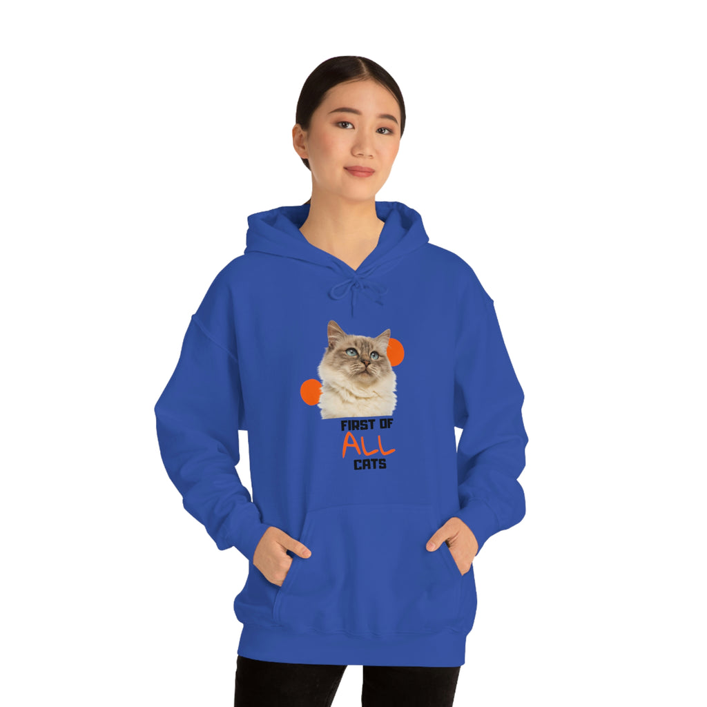 First of All Cat POD Unisex Heavy Blend Hooded Sweatshirt