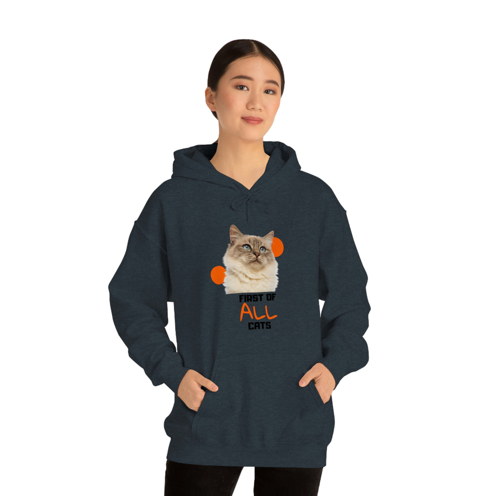 First of All Cat POD Unisex Heavy Blend Hooded Sweatshirt