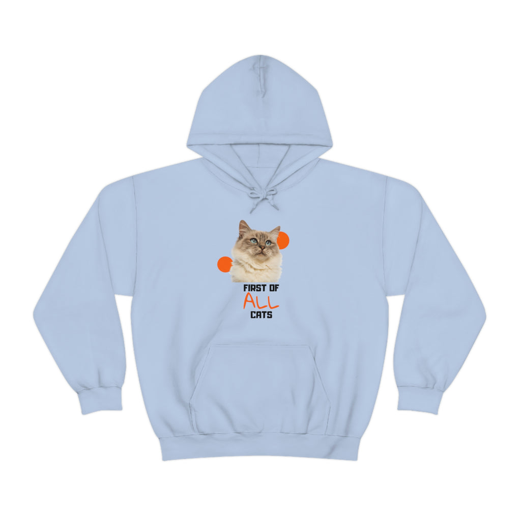 First of All Cat POD Unisex Heavy Blend Hooded Sweatshirt