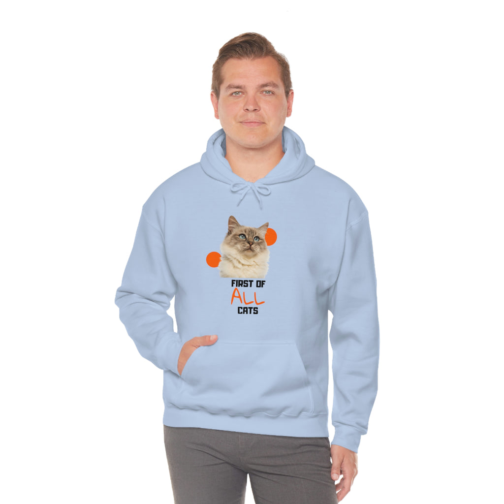 First of All Cat POD Unisex Heavy Blend Hooded Sweatshirt