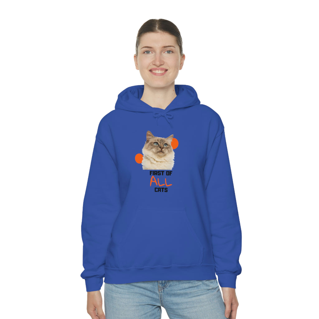 First of All Cat POD Unisex Heavy Blend Hooded Sweatshirt