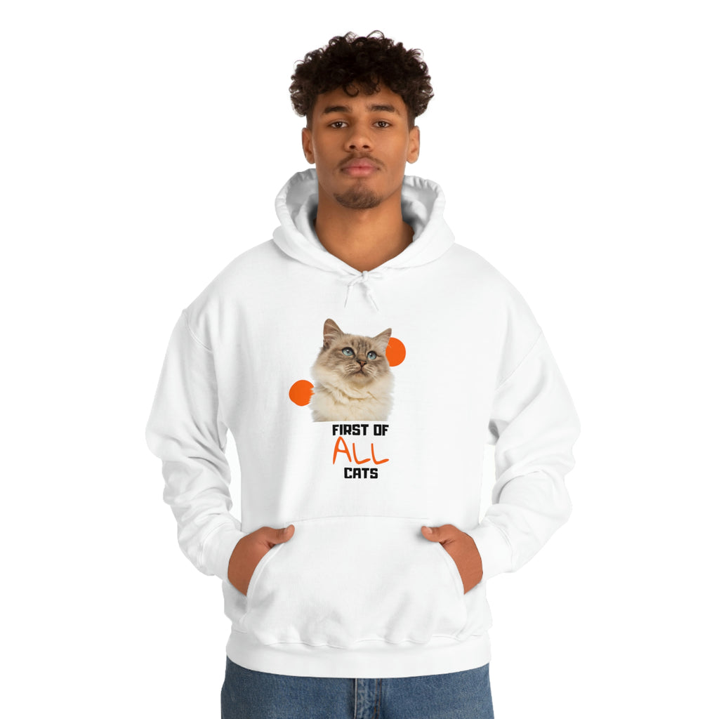 First of All Cat POD Unisex Heavy Blend Hooded Sweatshirt