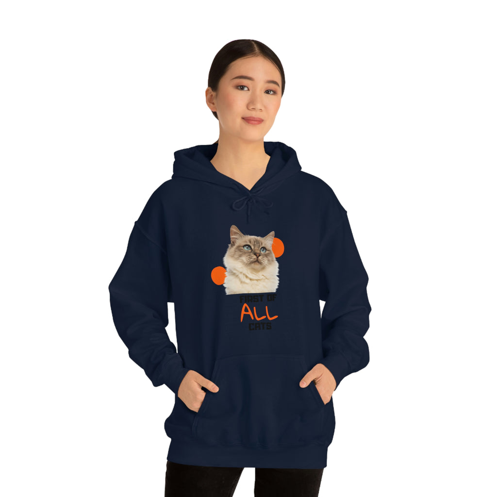 First of All Cat POD Unisex Heavy Blend Hooded Sweatshirt