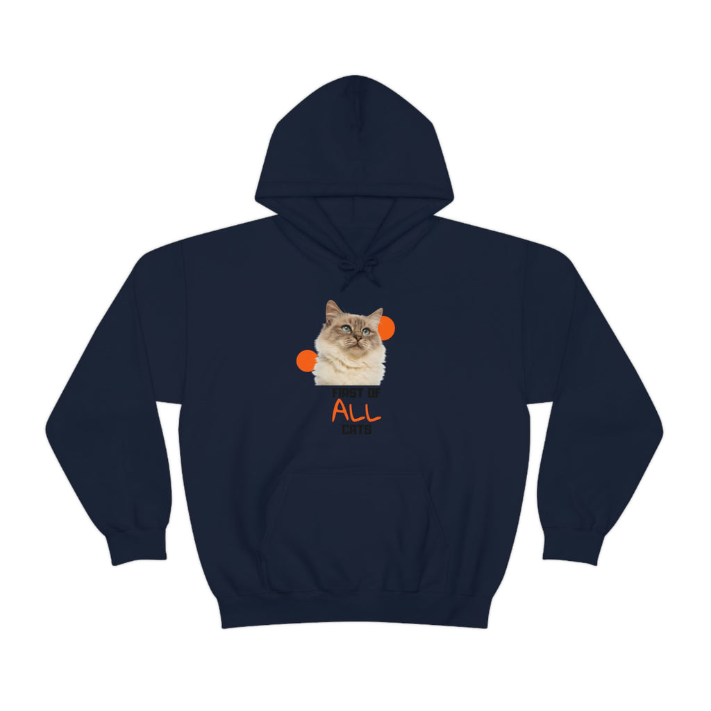 First of All Cat POD Unisex Heavy Blend Hooded Sweatshirt