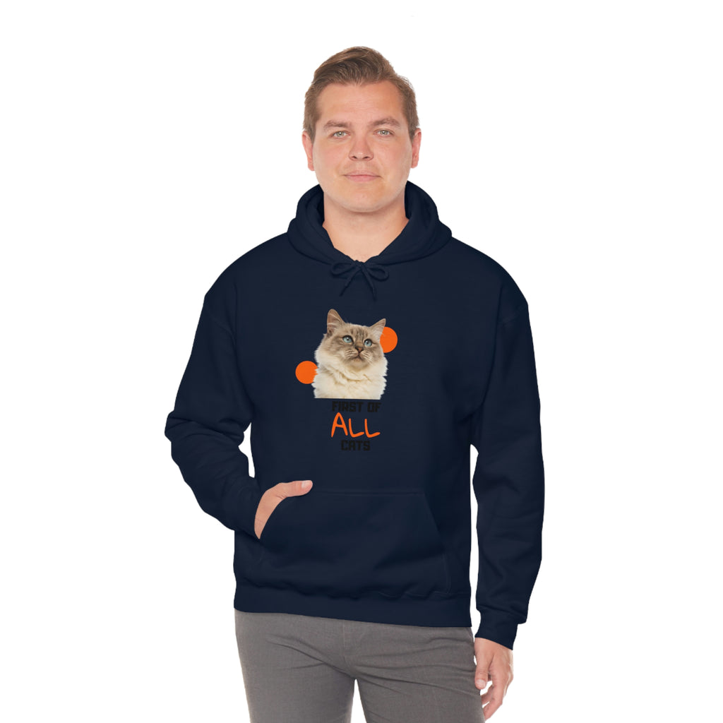 First of All Cat POD Unisex Heavy Blend Hooded Sweatshirt