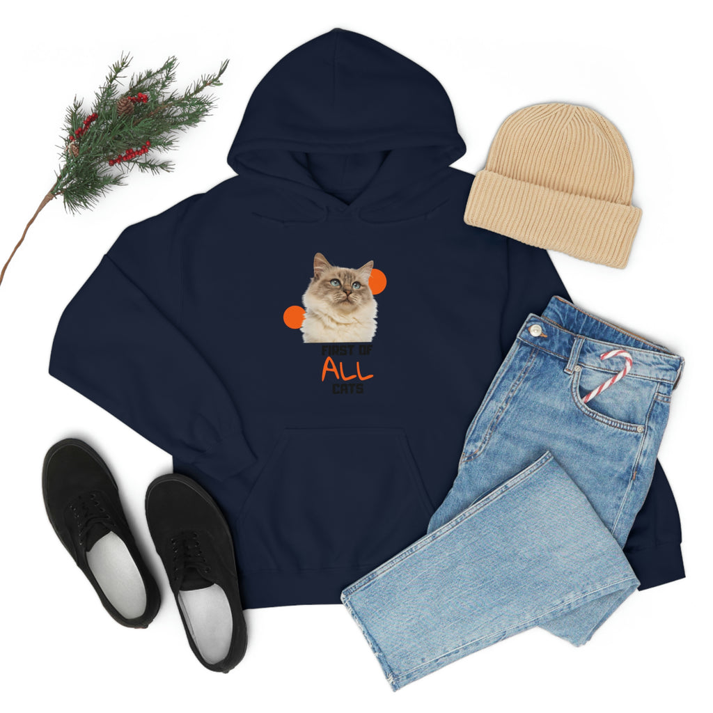 First of All Cat POD Unisex Heavy Blend Hooded Sweatshirt