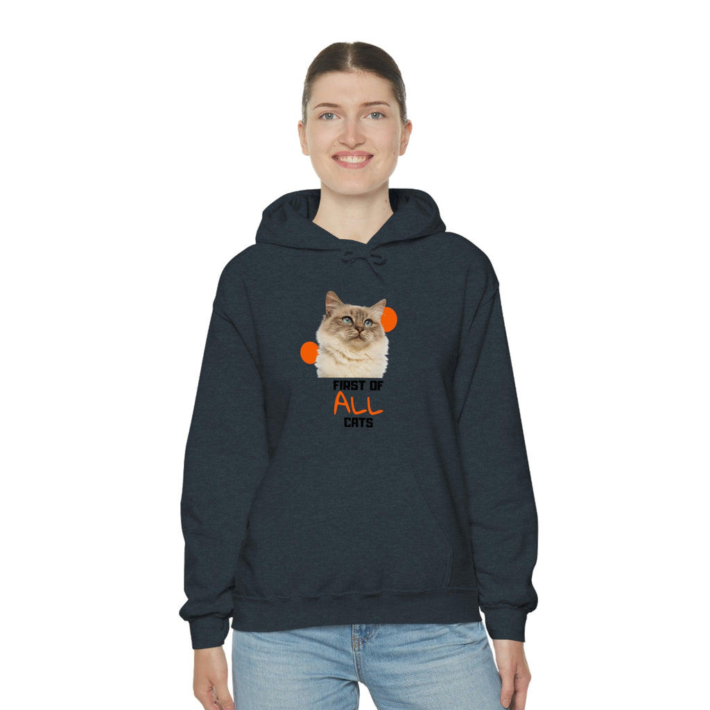 First of All Cat POD Unisex Heavy Blend Hooded Sweatshirt