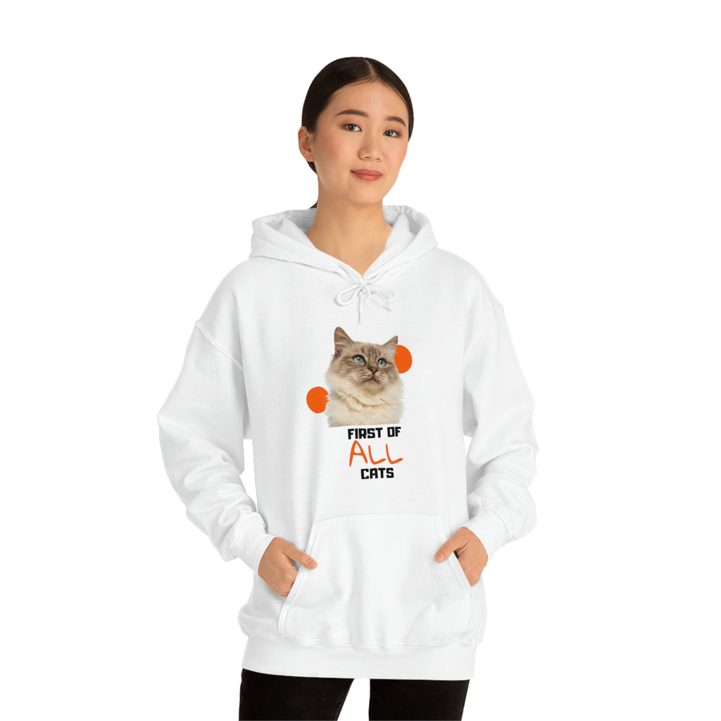 First of All Cat POD Unisex Heavy Blend Hooded Sweatshirt