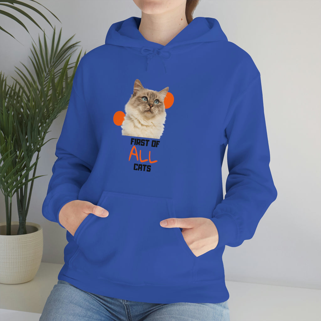 First of All Cat POD Unisex Heavy Blend Hooded Sweatshirt