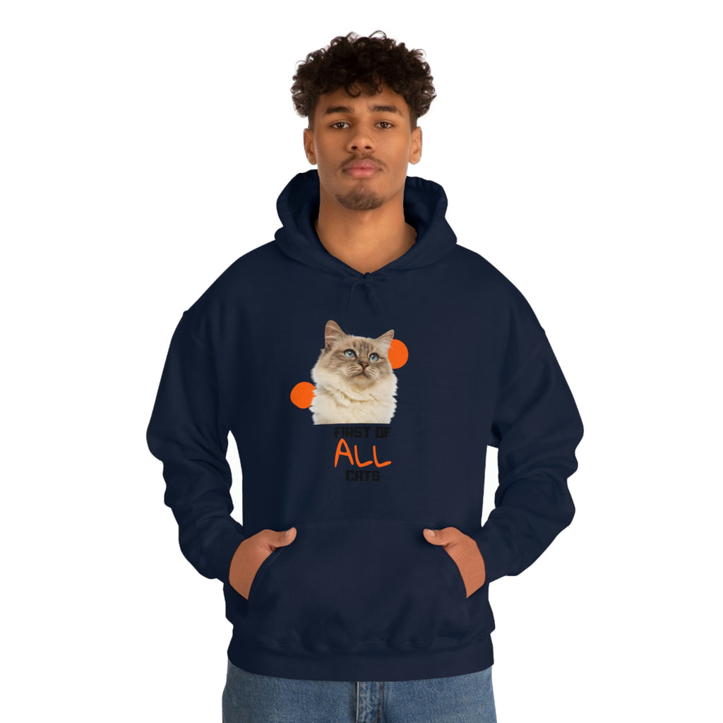 First of All Cat POD Unisex Heavy Blend Hooded Sweatshirt