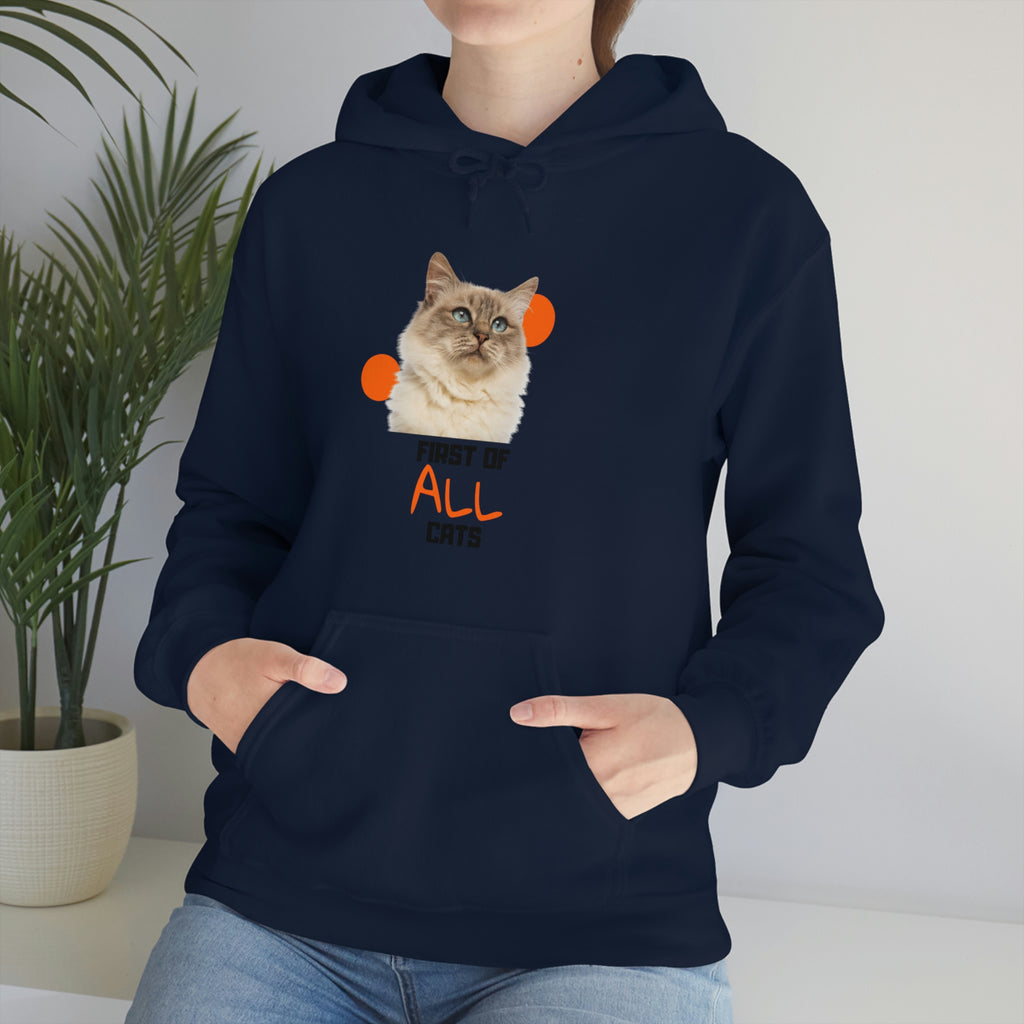 First of All Cat POD Unisex Heavy Blend Hooded Sweatshirt