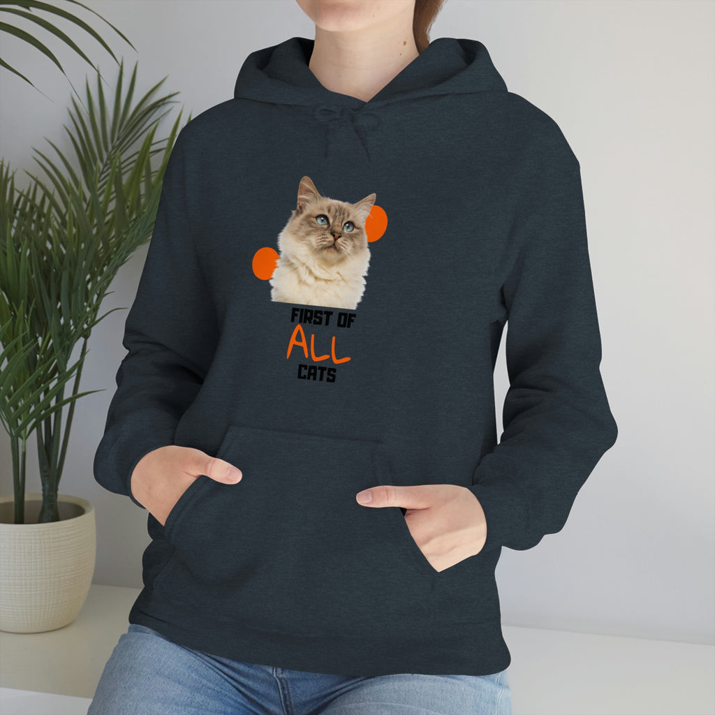 First of All Cat POD Unisex Heavy Blend Hooded Sweatshirt