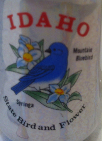 Vintage Salt and Pepper Shakers, Set of Vintage Salt & Pepper Shakers, Idaho, Mountain Bluebird, Syringa. Idaho State Bird and Flower