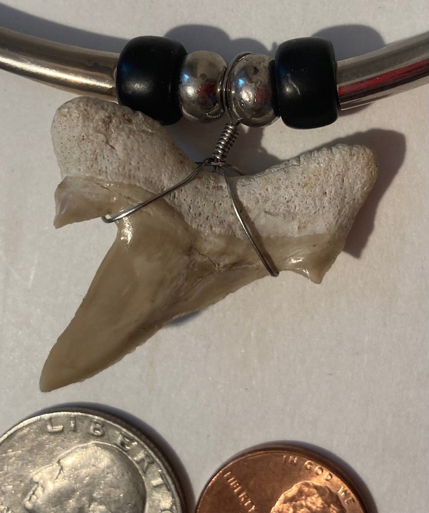 Vintage Metal Necklace with Nice Beautiful Shark Tooth, Elegant, Nice, Quality, Fashion, Clothing Accessory, Style, Fun, Jewelry, Beautiful
