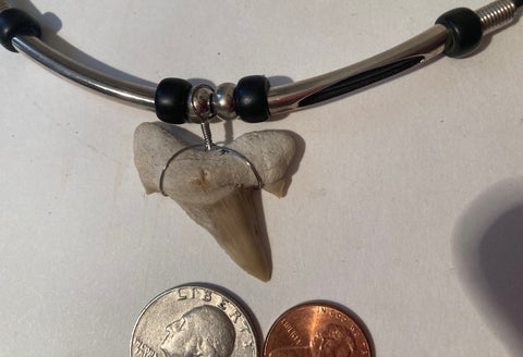Vintage Metal Necklace with Nice Beautiful Shark Tooth, Elegant, Nice, Quality, Fashion, Clothing Accessory, Style, Fun, Jewelry, Beautiful