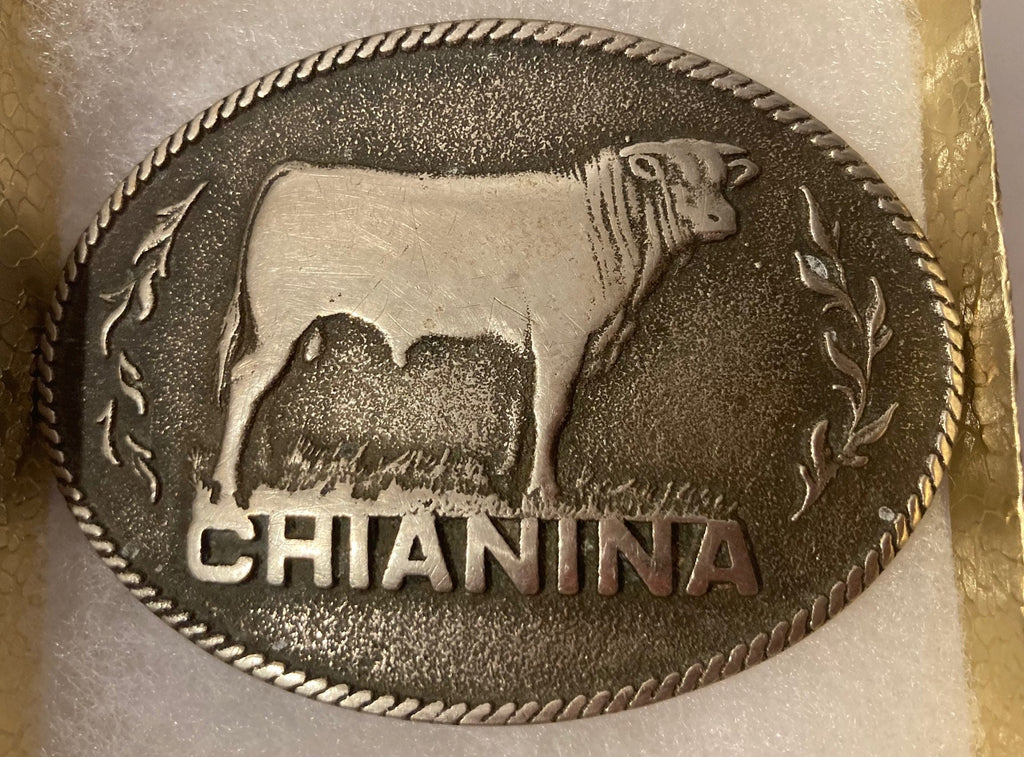 Vintage Metal Belt Buckle, Chianina Cattle, Cow, Nice Design, 3 1/2" x 2 1/2", Heavy Duty, Quality, Thick Metal, Made in USA, For Belts