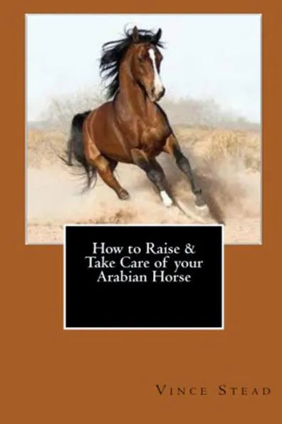 How to Raise & Take Care of your Arabian Horse
